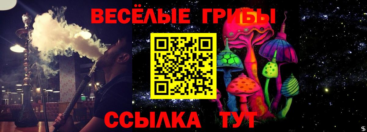 Псилоцибиновые грибы GOLDEN TEACHER  Вход с VPN  Тобольск  Псилоцибиновые грибы ЛСД 